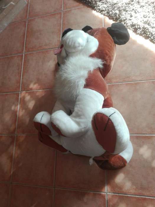 Cao de peluche grande cerca de 60cm