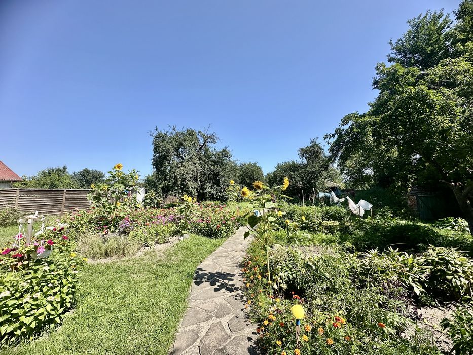 Без комісії. Продам будинок + рівна ділянка 50сот. с. Небрат.