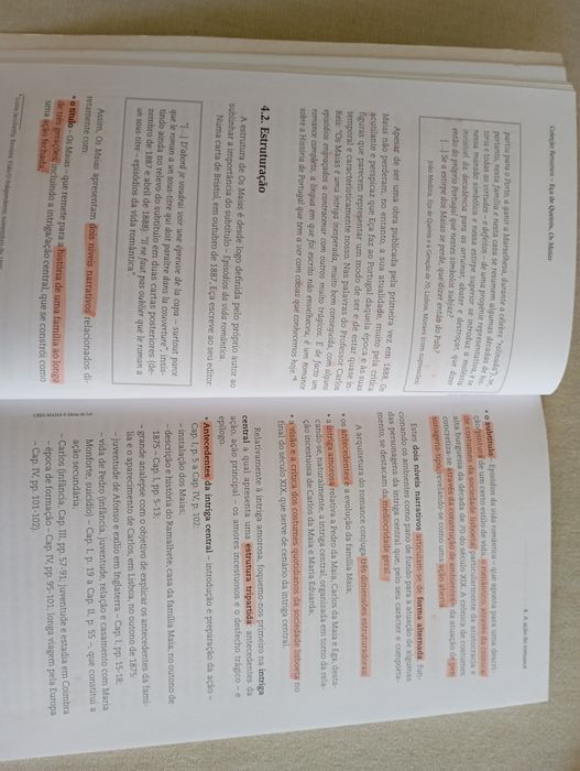 Livro de resumos - Os Maias