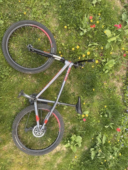 Rower Kellys whip 50