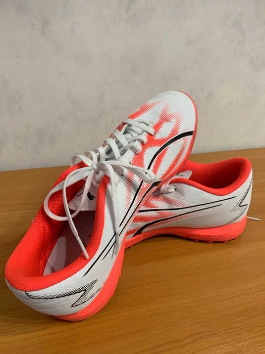 Сороканіжки Puma