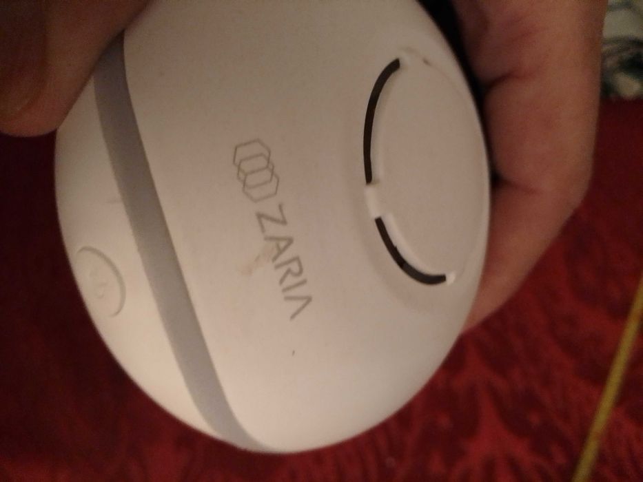 Quer Milagres?Castanha centenária Milagres S.Martinho30E-Saco3EDesde3E