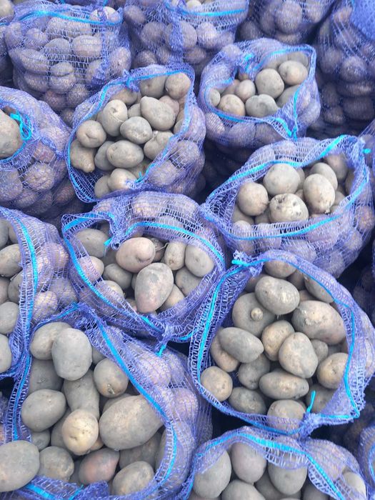 Продається картопля  .Вартість 8 гривень кілограм