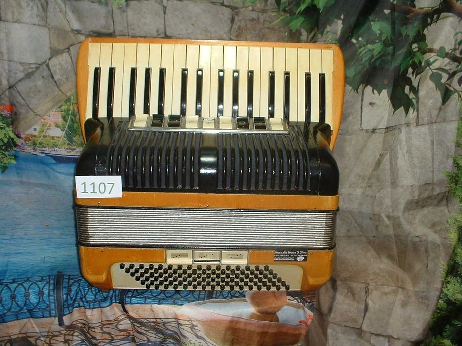 Promoção de Acordeões de concertinas