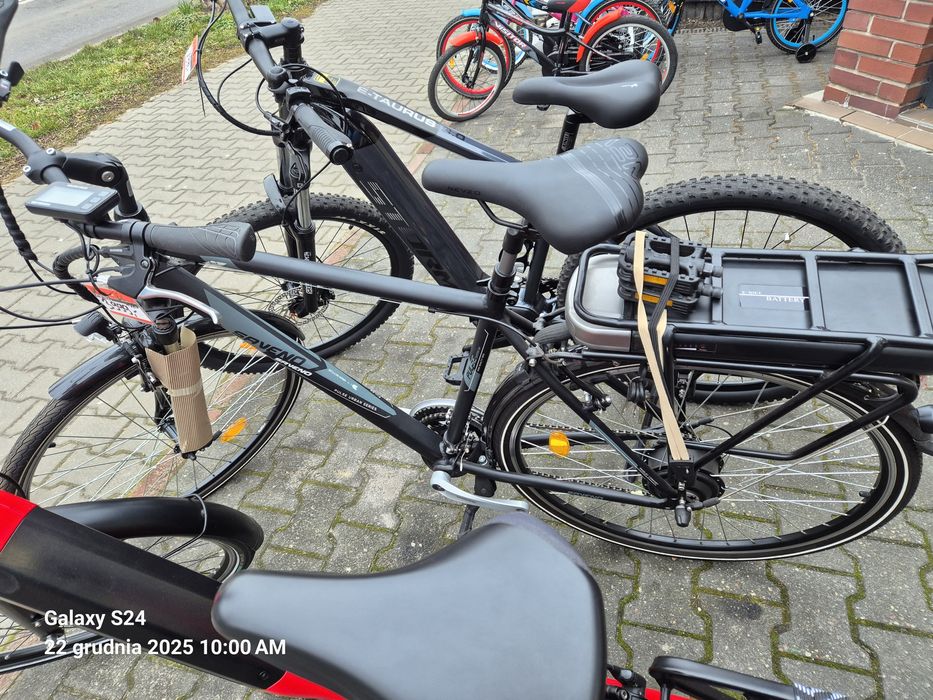 Rowery Curtis/Giant/Sparta/Gazelle/Batavus/MTB/Pegasus/Altra/KCP/Union