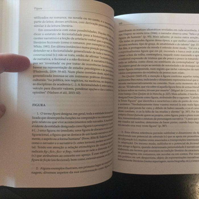 Dicionário de Estudos Narrativos