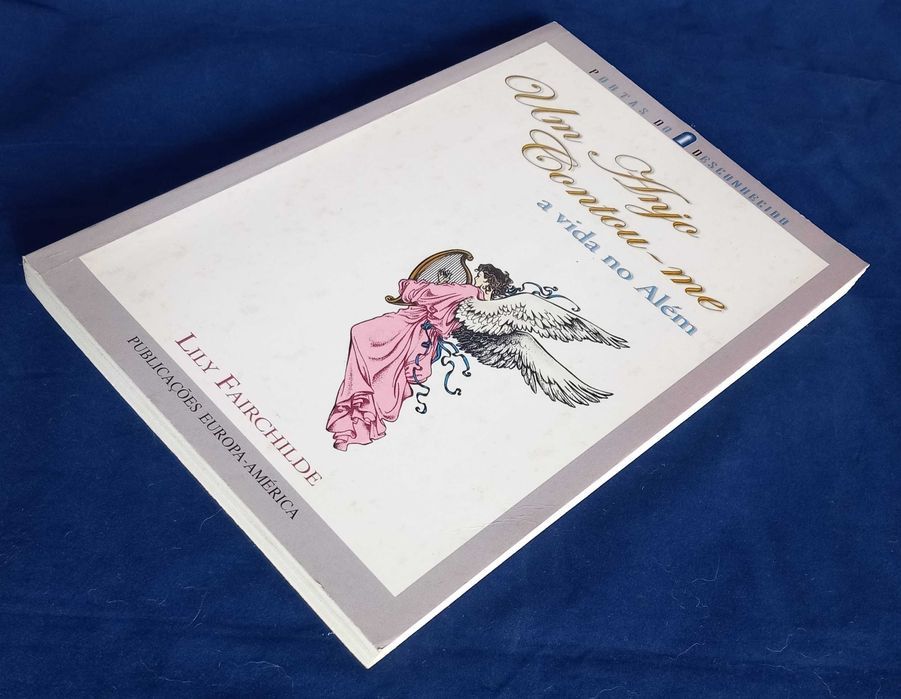 Livro Um Anjo Contou-me a Vida no Além de Lily Fairchilde [Portes Inc]