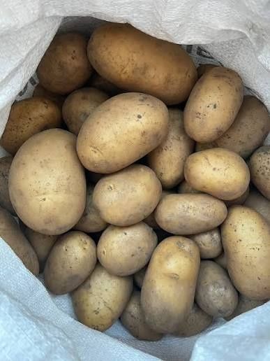 Картопля в мішках