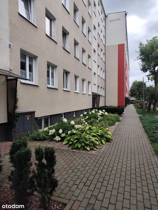 3 Pokoje \ Opole \Środmieście \ Balkon\ Dostępne Od Zaraz