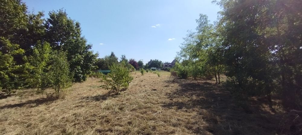 Zdjęcie 5