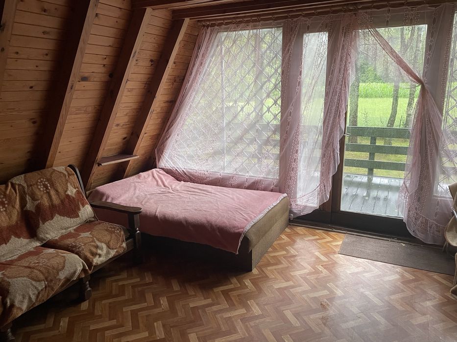 Dzialka leśna Kolumna wynajme