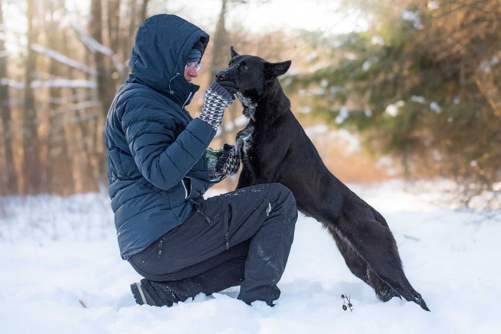energiczna arystokratka Hilda
