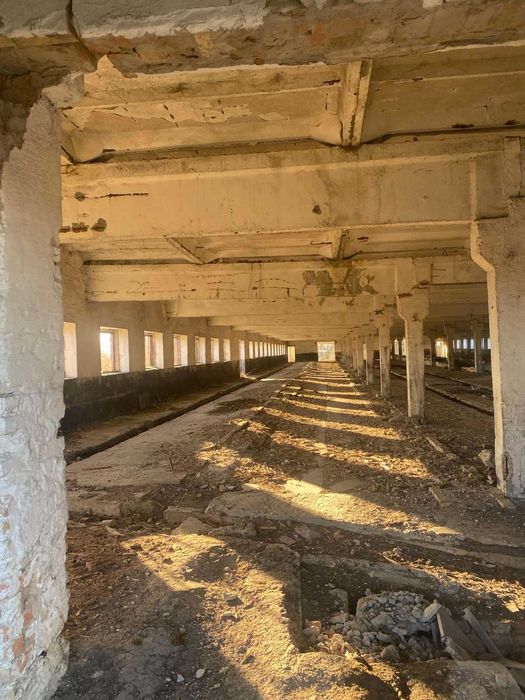 Нежитлові приміщення (ферма)