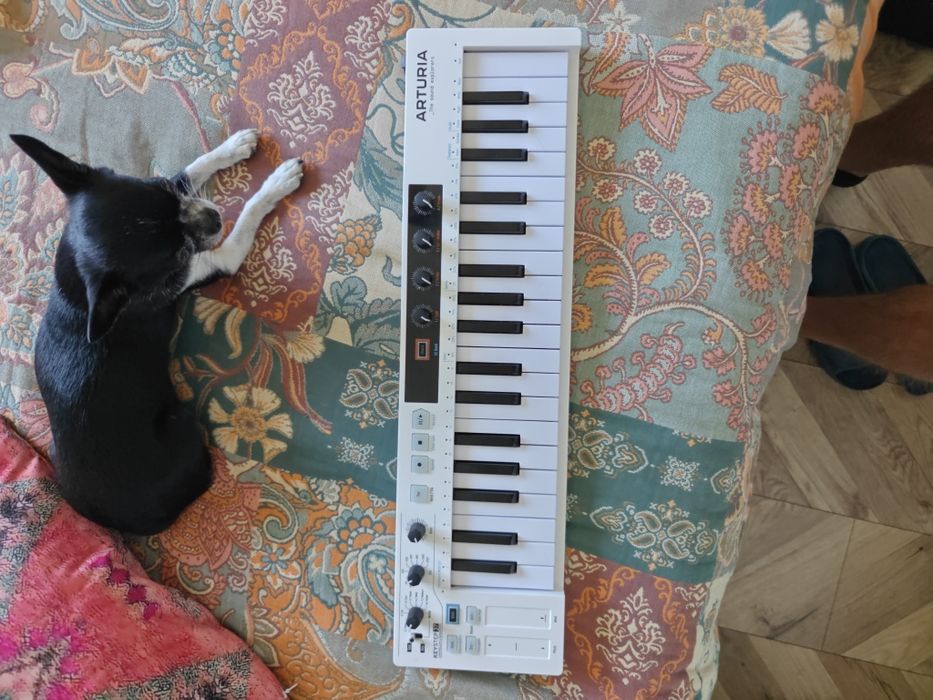 Arturia Keystep 37