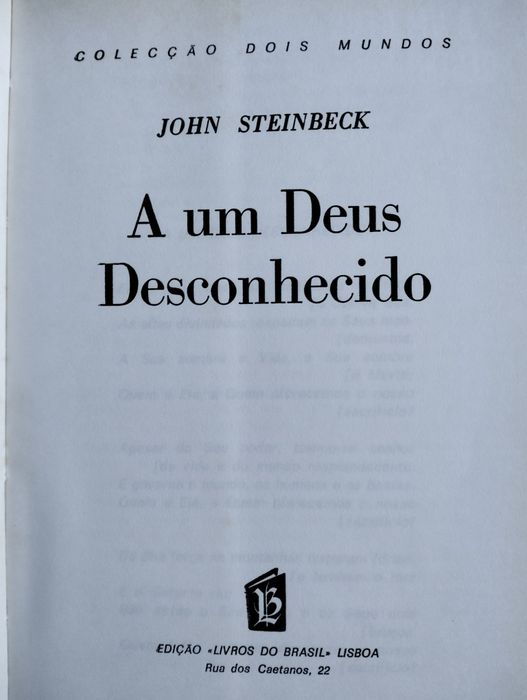 Livro A um Deus Desconhecido - John Steinbeck