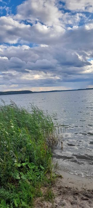 DZIAŁKA Leśna  Swornegacie