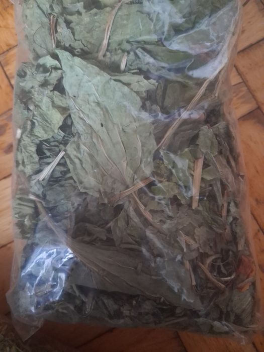 Продам сушені лікарські рослини