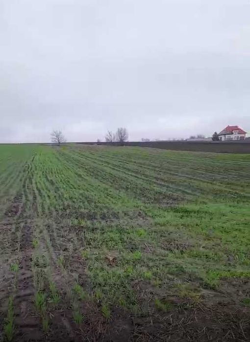 Продаж земельної ділянки в с. Германівка, Обухівський район