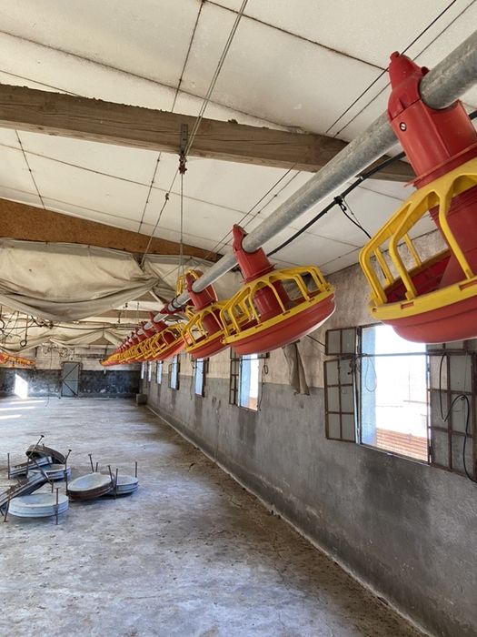 Vende-se Equipamento para Aviário