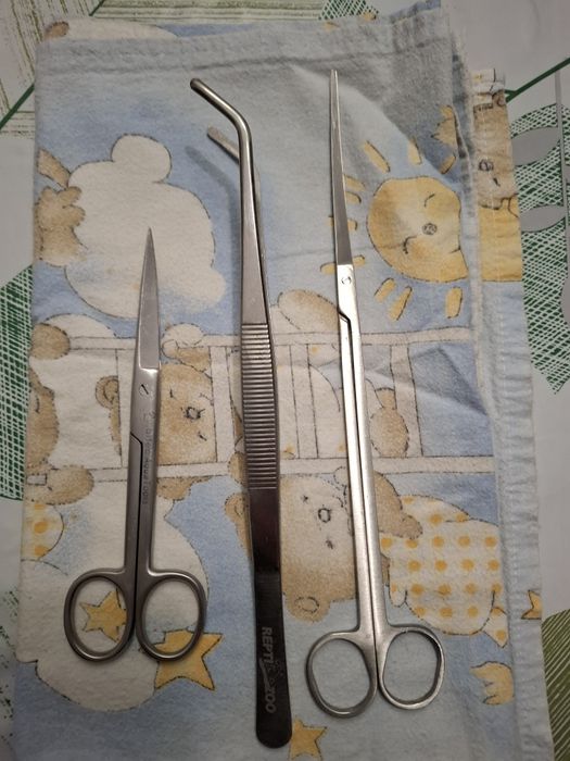 Nożyczki i pinceta do akwarium