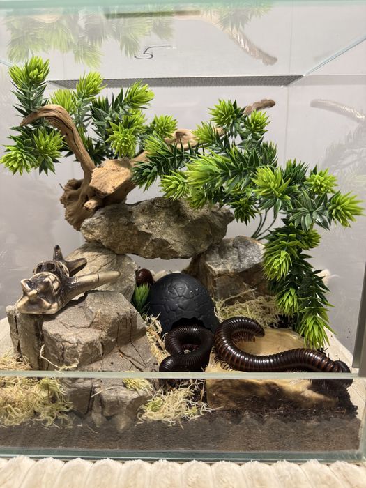 Декор в терраріум / акваріум , укриття, аксесуари