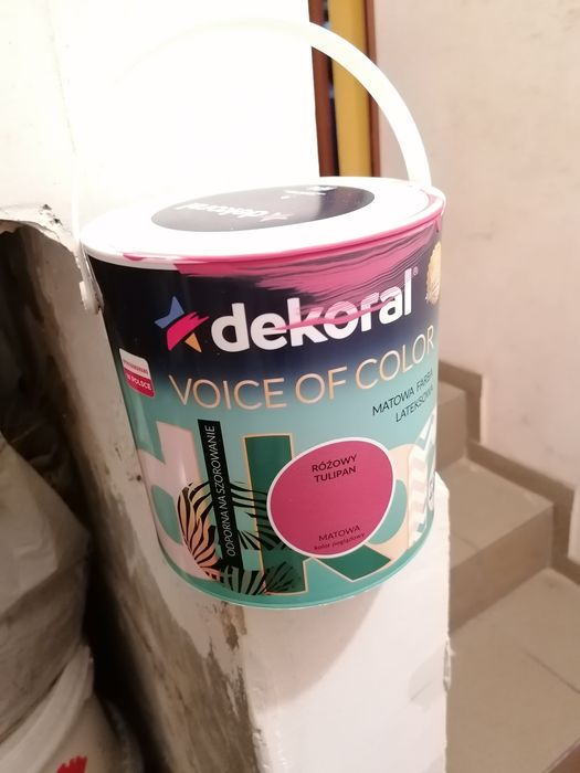 Farba, pędzle i szblony do malowania konie