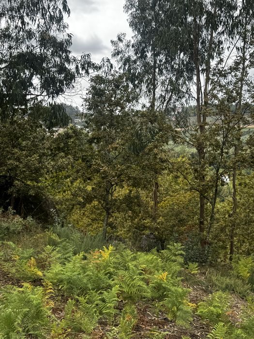 Vendo / troco terreno