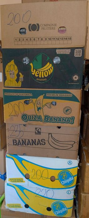 Płyty CD 6 kartonów 1100 sztuk