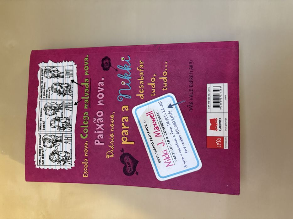 Livro Diário de uma Totó de Rachel Renné Russel
