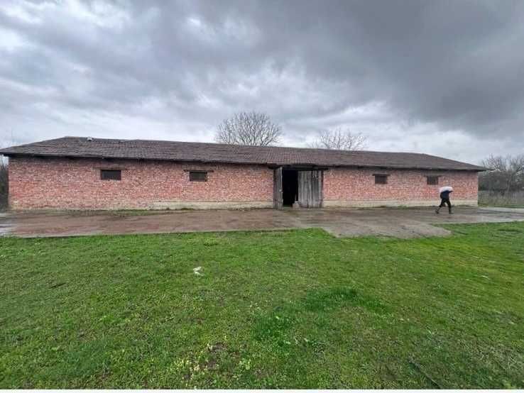 Свиноферма 2200 м2