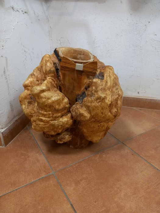 Czeczot Kap,narośl ,rak brzozowy