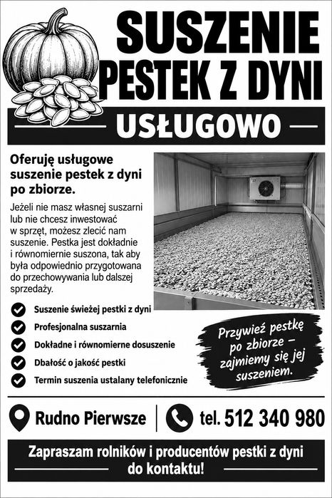 Suszenie pestek z dyni po zbiorze. 
Rudno