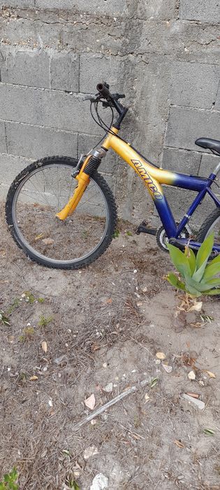 Bicicleta junior