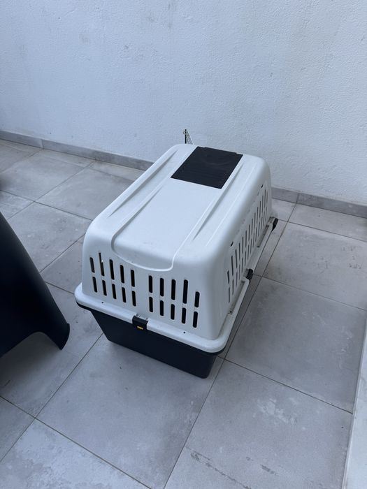 Caixa transporte cão