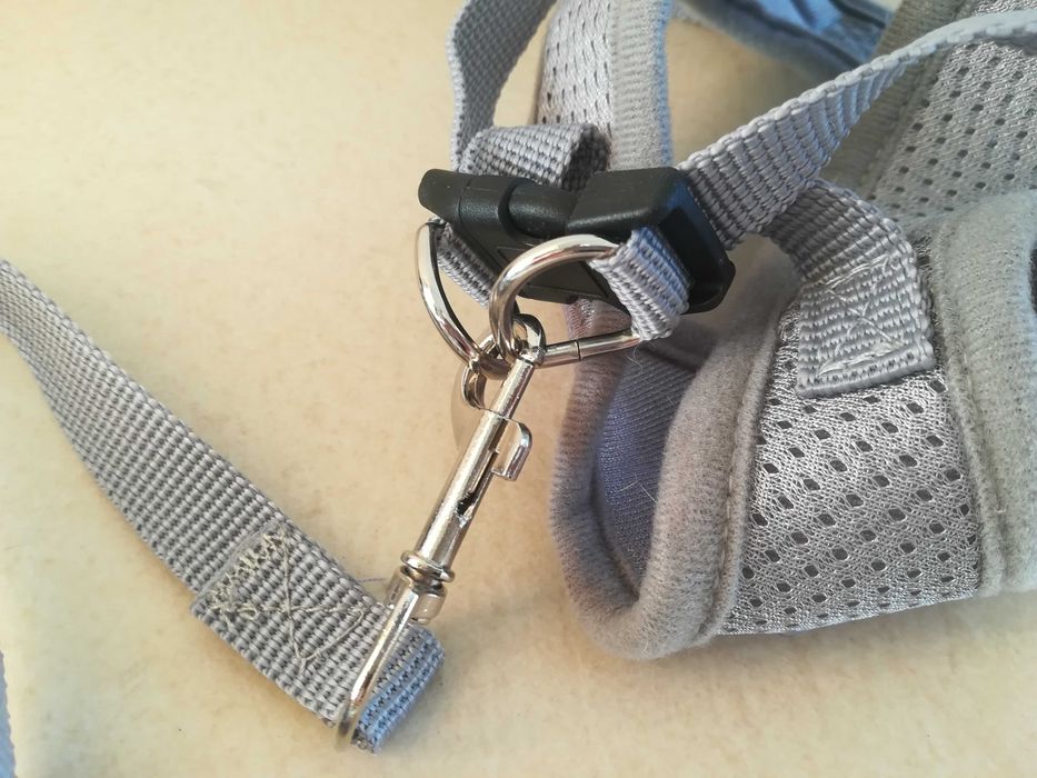 Peitoral + Trela NOVOS para Gato/a ou Cão/Cadela