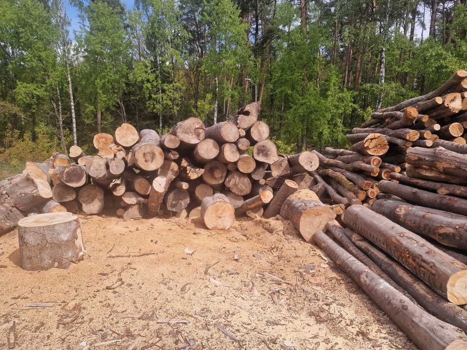 Drewno kominkowe dab buk