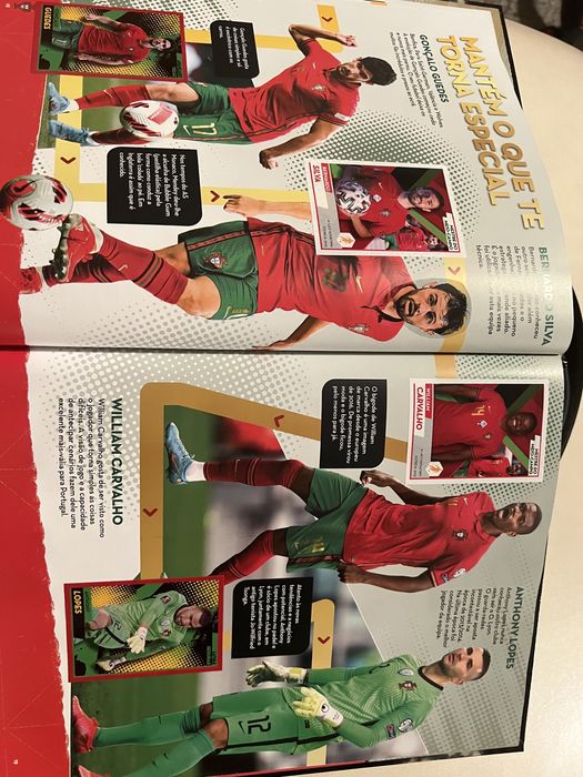 Caderneta Fome de Vencer 2022 Panini 84% completa