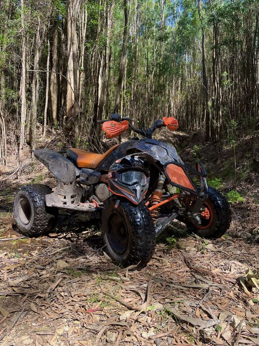 Polaris Predator 500