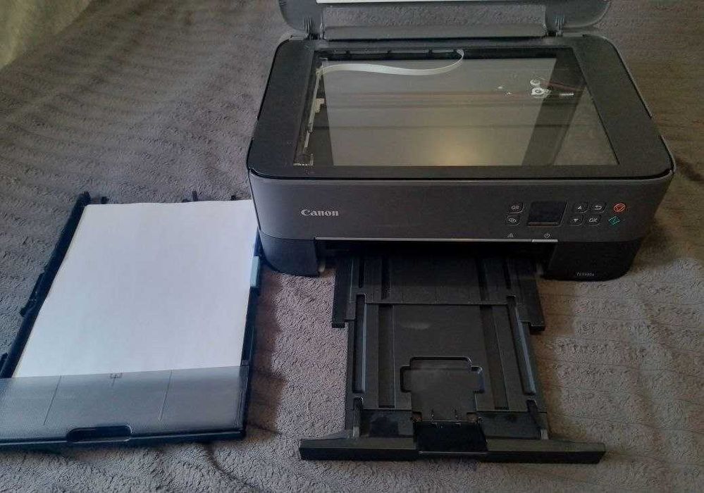 Принтер:Canon TS5340a