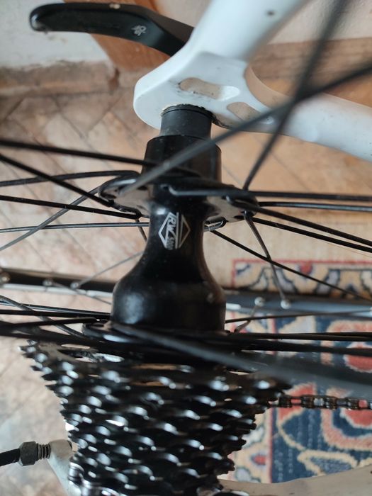 Rower Ridley Icarus, rama 58, osprzęt Campagnolo