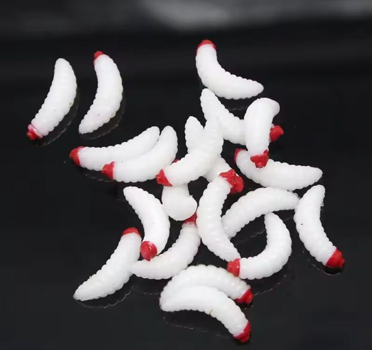 Larwy 5 sztuk , 2cm , kolor biały