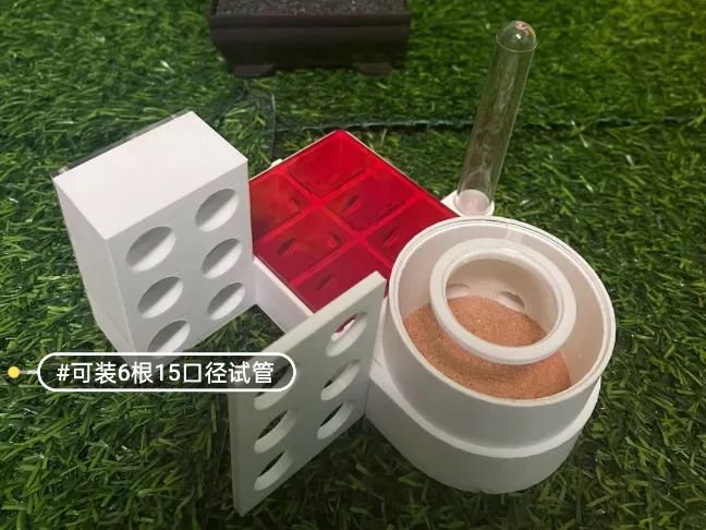 Formigueiro em Tubo de Ensaio com Prato