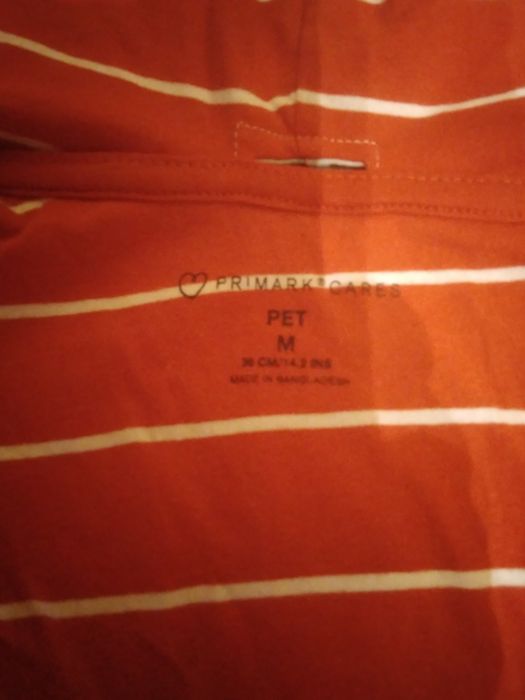 Одяг для маленького песика