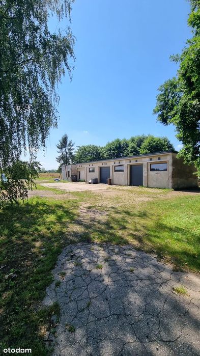 Hala usł.-prod. / można przekształcić w mieszkalny