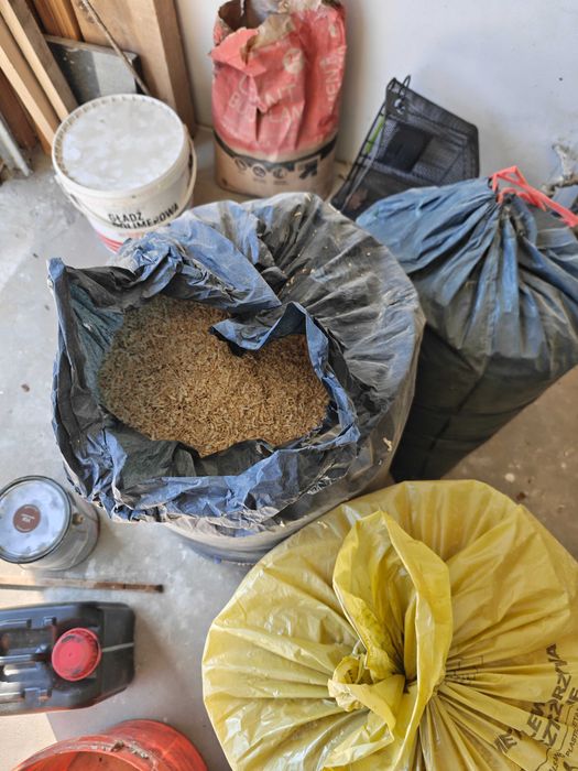 Trociny sosnowe suche