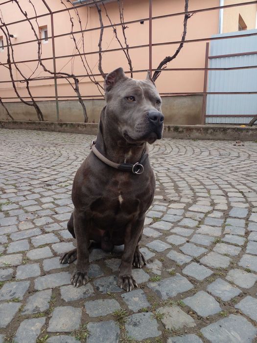 Вязка Стафф вязка