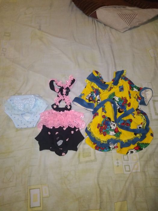 Одежда  и  обувь собак  по спинке  35-37см