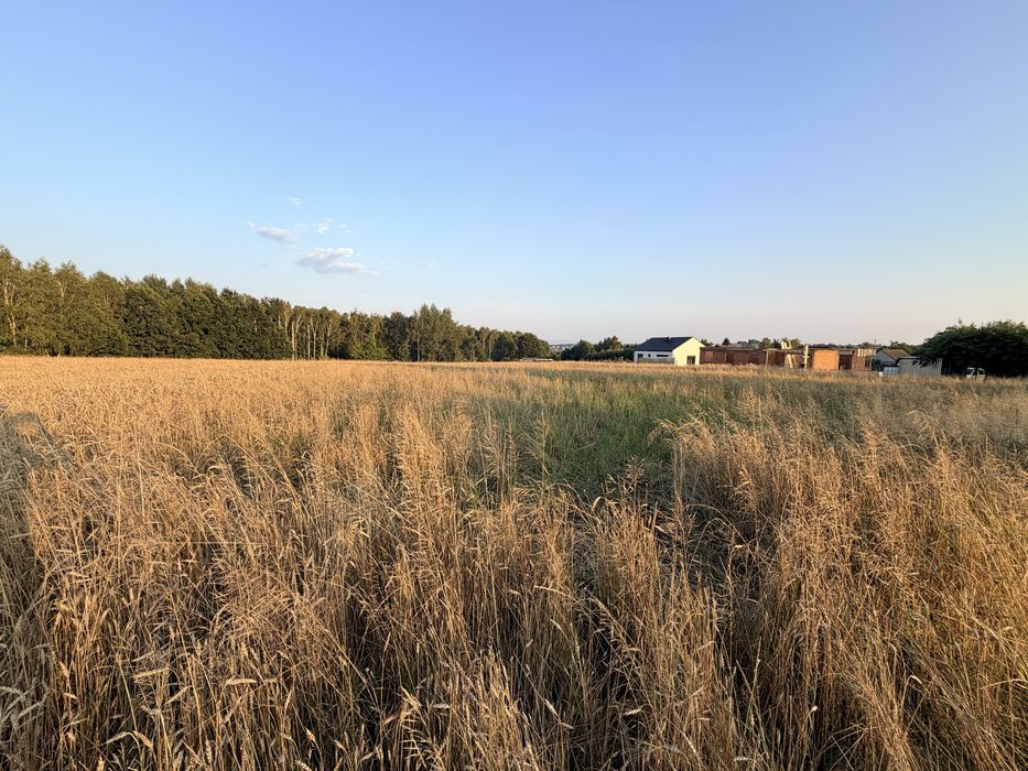 Działka rolno-budowlana 9190 m² Mszana k.Wodzislawia Śl.