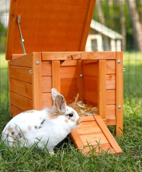 Casota para roedores, gato ou cão mini