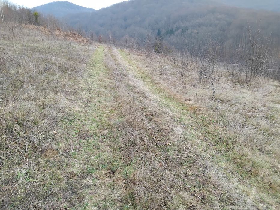 Продаю земельну ділянку  на березі річки  Латорица  у Свалява